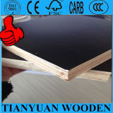 Shuttering Film Faced Plywood / Marine Plywood for Construction