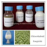 Fungicide Bactericide 98%Tc 75%Wp Chlorothalonil