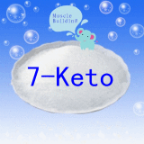 Natural Body Building 7-Keto Seroids