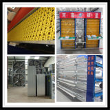 Full Automatic Poultry Equipment for Hot Sale