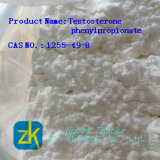 Anabolic Steroids of Testosterone Phenylpropionate 99%