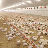 Full Set Automatic High Quality Poultry Equipment for Broiler