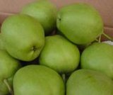 Green Su Pear