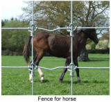 Livestock Fencing