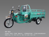 Motorized Tricycle for Cargo