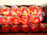 10kgs/Carton Top Quality Chinese Fresh Mandarin Orange