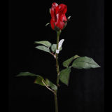 Rose Flower (RO-040-23S)