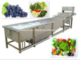 Commercial High Efficiency Fruit Washing Machine