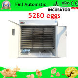Hot Sale Automatic Chicken Egg Incubator with CE (WQ-5280)