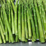 Frozen Vegetables, IQF Asparagus