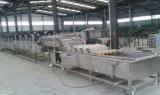 Vegetabal Cleaning and Air Drying Machine