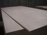 Plywood/Okoume Plywood with Best Quality