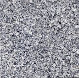 G614 Grey Granite Tile for Floor