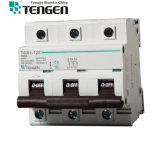 Tgb1-125 3p 6ka Circuit Breaker