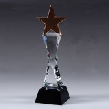 Tr162 Crystal Trophy for Souvenir