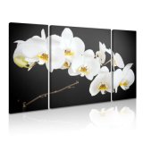 Flower Canvas Art Decorative Painting for Home Wall