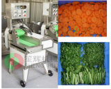 Large-Scale Vegetable Cutter Video (SH-138) 