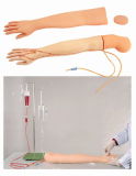 Adult Venipuncture and Injection Training Arm