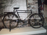 28 Traditional Bicycle for Hot Sale (SH-TR094)