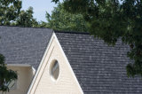 Customized Natural Stone Slate Roof (T-S)