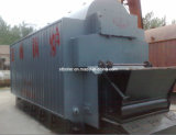 Biomass Steam Boiler (DZL)