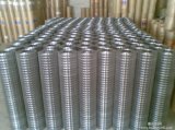 Welded Wire Mesh for Fence