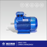 Guomao High Quality Pure Copper Coil Y2 Series Three-Phase Induction AC Stepper Fan Electric Motor