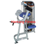 Fitness Equipment, , Body Building Eqiupment, Hammer Strength, Biceps Curl (PT-502)