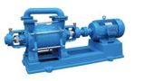 Liquid Ring Pumps Used for Textile Industry Vacuum Drying Process