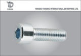 China High Quality Hexagonal Socket Head Bolt Good Fastener Manufacture in China