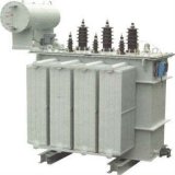S11-M 6-10kv /1250kvaoil Immersed Power Transformer