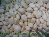 Frozen Garlic Segments