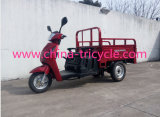 125cc Small Cargo Tricycle with Spare Tire (TR-27)