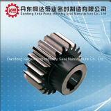 Hot Sale High Precision Transmission Gear China Supplier