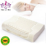 100% Natural Health Massage Latex Pillow