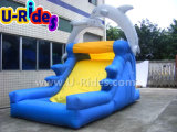 Inflatable Dolphin Water Slide for Sale