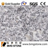 Light Grey Granite G603& G602