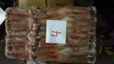 Frozen Indonesian Red Squid Whole Round