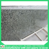 Polished Brown/Black/Red/Grey/White Granite with CE Certificate
