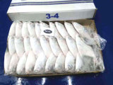 Fresh White Pomfret Fish From China