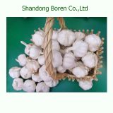 Chinese 2015 New Fresh Normal White Garlic