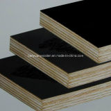 Marine Waterproof Film Faced Plywood for Construction