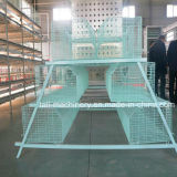 Hot Sales for Egg Laying Chicken Cage