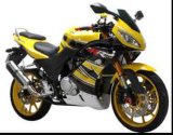 Racing Motorcycle (HL250R-1C)