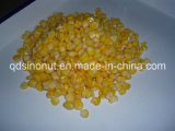 Ramadan Hot Sales Canned Sweet Corn for Gcc Countries Market (184G, 284G, 340G, 425G EOE LID)
