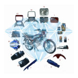 Motorcycle Body Parts for Horse