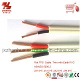 2core and 3core Copper Twin with Earth Wire Manufacturer