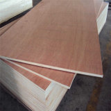 Trusworthy Quality 12mm Bintangor Plywood with Competitive Price