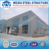 Steel Structure Factory (WD101401)