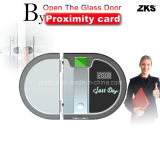Special Keyless Office Biometric Electronic Password Protected Handle Door Lock